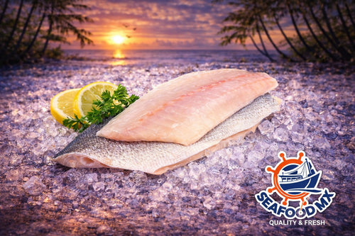 Filete de Pescado Corvina