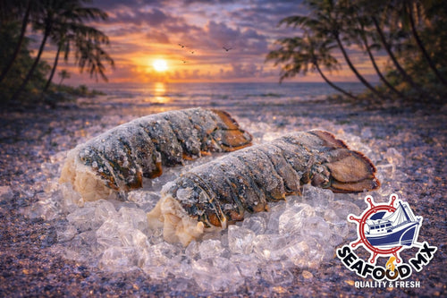 Cola de Langosta Caribeña